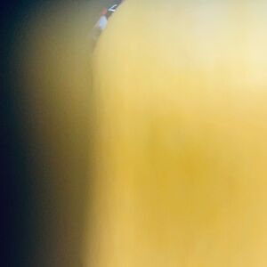 Yellow Abstract Art Print